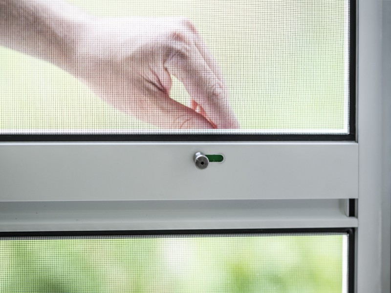 asset_id_d45c001a01a0c69c7050131e1075ae0d (Groß).jpg