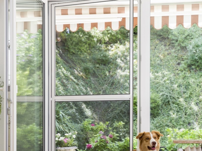 asset_id_87707edf553529489e5afad1d61710bd (Groß).jpg