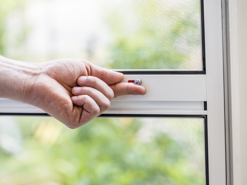 asset_id_fa4672802136bcef72bae30a3f23b849 (Groß).jpg